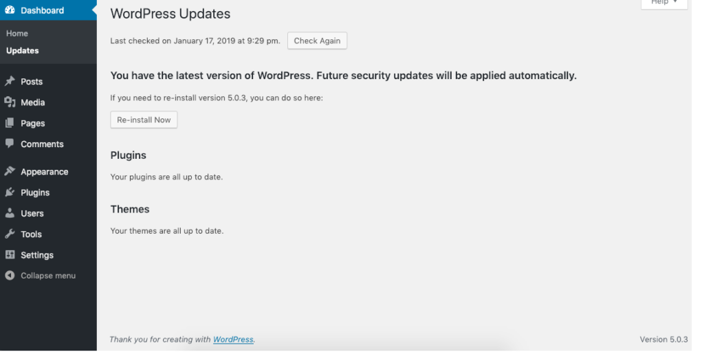 Admin panel showing WordPress theme update screen.